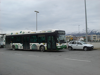 Filename=DSC03255.JPG
Filesize=995KiB
Dimensions=2048x1536
Date added=Feb 14, 2009 DSC03255.JPG